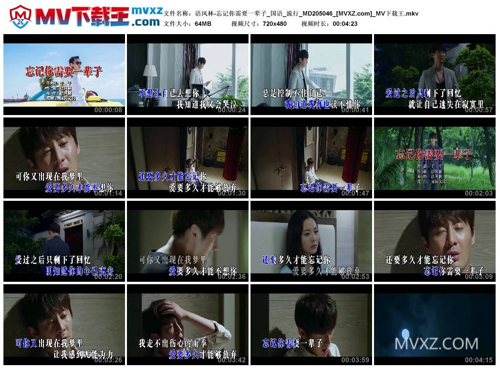 语风林-忘记你需要一辈子_国语_流行_MD205046